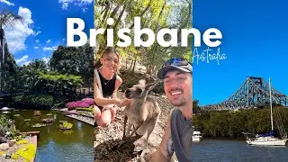 ЧЕМ ЗАНЯТЬСЯ В БРИСБАНЕ, АВСТРАЛИЯ 🇦🇺😍 // Ботанический сад, Австралийский зоопарк, улица Рома и м...