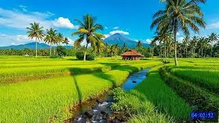No Ads 4K HDR Relaxing River Nature Ambience for Calm Night Sleep