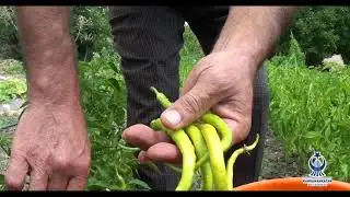 Kahramankazan - Dutözü Mahallesi Tanıtımı