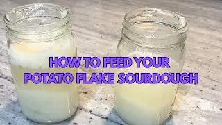 How To Feed Your Potato Flake Sourdough Starter
