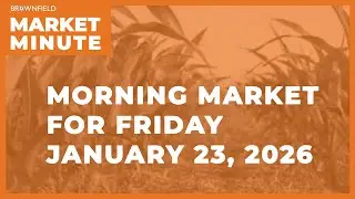 Corn was mixed overnight | Morning Market Minute