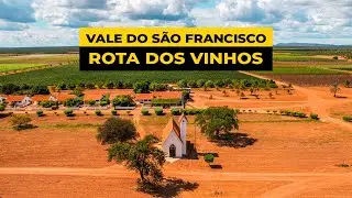 ROTA DOS VINHOS! Conhe&ccedil;a o Vale do S&atilde;o Francisco 🍷