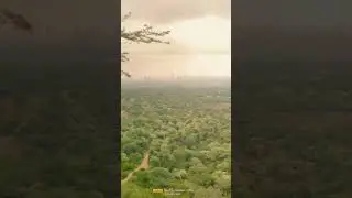 waste Of Time Leopard 🐆 Hills ⛰️ #aravali (Part-2) #minivlog #shorts #safardestiny #youtubeshorts