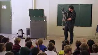 Extra fun to your elementary school assesmbly programs (ventriloquism, puppets, magic and illusions)