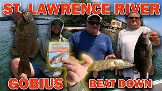 Fishing the ZMAN Gobius swimbait for giant smallmouth on the St. Lawrence River