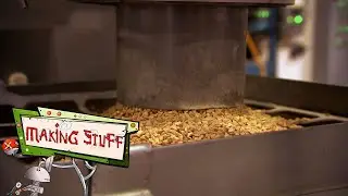 How Peanut Butter Gets Made | FULL EPISODE | Making Stuff | Scholastic STEAM