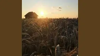 Longing for Solitude