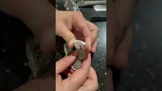 How to change batteries for small parol stesdy lights of lolo&rsquo;s parol