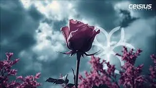 Bad4Life & Kerry - Give Me A Sign (T:Base Remix)