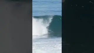 This Random Won The Heat  #hawaii #surfing #northshoreoahu