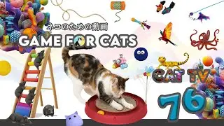 CAT Games | Mouse, String, Bird, Frog, Wire, Ant, Squirrel GAME FOR CATS 76 | 2 HOURS 🐝🐞🦋🦎🦜🐜🐭