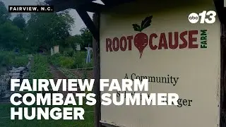 'Root Cause Farm' combats summer hunger feeding nearly 130 families weekly