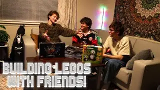 building legos with friends! | lego kingfisher, amg race set, 3 in 1 panda