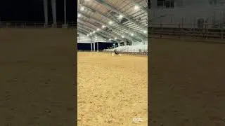 Ready for our rodeo tomorrow #Horse #Rodeo