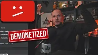 REMOVED from the Youtube Partner Program!