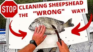 **BEST** WAY TO CLEAN **SHEEPSHEAD** + GIGGING VIDEO!
