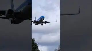 Absolute cinema!! #aviation #airplane #shorts #737 #boeing #landing #klm #dutch #airport #fly #epic