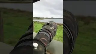 Wildlife photography at Blashford Lakes Hampshire UK by 