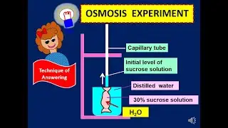 Biology Form 4 Chap 3 (3.2)  (2) Simple Diffusion, Osmosis Technique Of Answering #kssm #igcse #spm