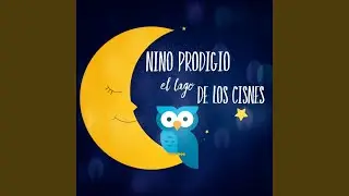 El Lago de los Cisnes
