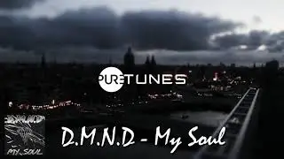 D.M.N.D - My Soul