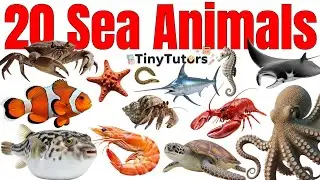 20 Sea Animals Names for Kids 🐳 | Learn Ocean Animals with Pictures | Nursery Learning