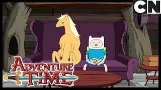 Cavalo e bola | Hora de Aventura Brasil | Cartoon Network 🇧🇷