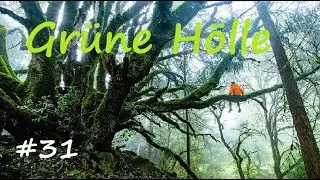Gr&uuml;ne H&ouml;lle - erster Treppenaufstieg  [T5 Geocaching Klettern im Baum]