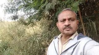beautiful forest of Delhi