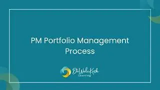 PM Portfolio Management Process