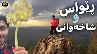 گەڕان بەدوای (ڕێواس)