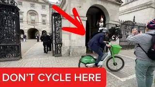 Cyclist Enters Restricted White Line Area Near Horse Guard