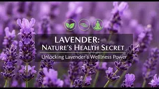 Health Benefits Of Lavender Explained In Hindi