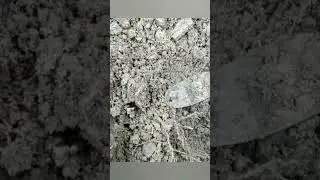 1926 Dog tag found metal detecting#noktalegend #metaldetecting #relichunting#explore #history #ohio