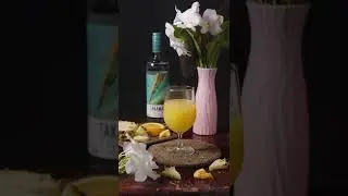 takamaka cocktail