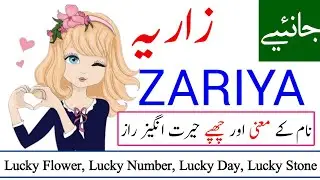 Zariya Name Meaning in urdu Zariya Naam ka Matlab kya hota hai