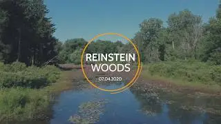 Reinstein Woods Nature Preserve Drone Footage