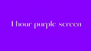 1 Hour Purple Screen &ndash; Calming Solid Color Background | No Sound