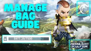 Inventory Management Tips! Moonlight Sculptor MMO!
