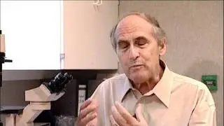 Heineken Prizes - Professor Ralph M.  Steinman