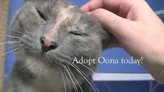 Furkids - Oona 12445