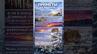 ПРИМЕТЫ НА ФЕВРАЛЬ #shorts #приметы #погода