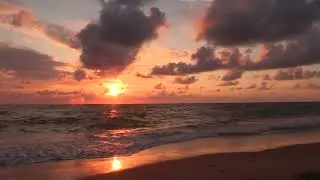 Beachcomber's Paradise