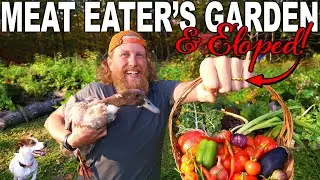 Сад мясоеда &mdash; первый год создания сада для ловли и приготовления пищи: от семян до корма!
