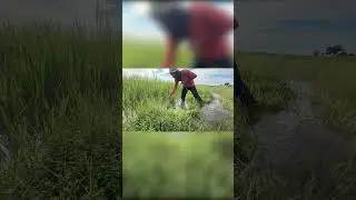 Morning Trap Check &ndash; Thought It Was a Big Fish! 😲🐟