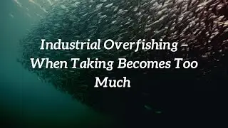 Industrial Overfishing &ndash; When Taking Becomes Too Much
