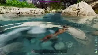 2.5k Hours of Muscle Memory vs New Ark Mechanics