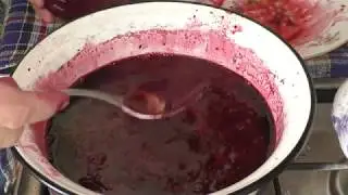 желе из черноплодной рябины в домашних условиях