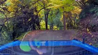 A Relaxing Fall Drive