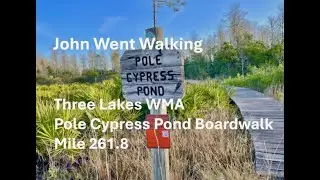 Florida Trail Thru-Hike (Three Lakes WMA; Pole Cypress Pond Boardwalk - Mile 261.8)